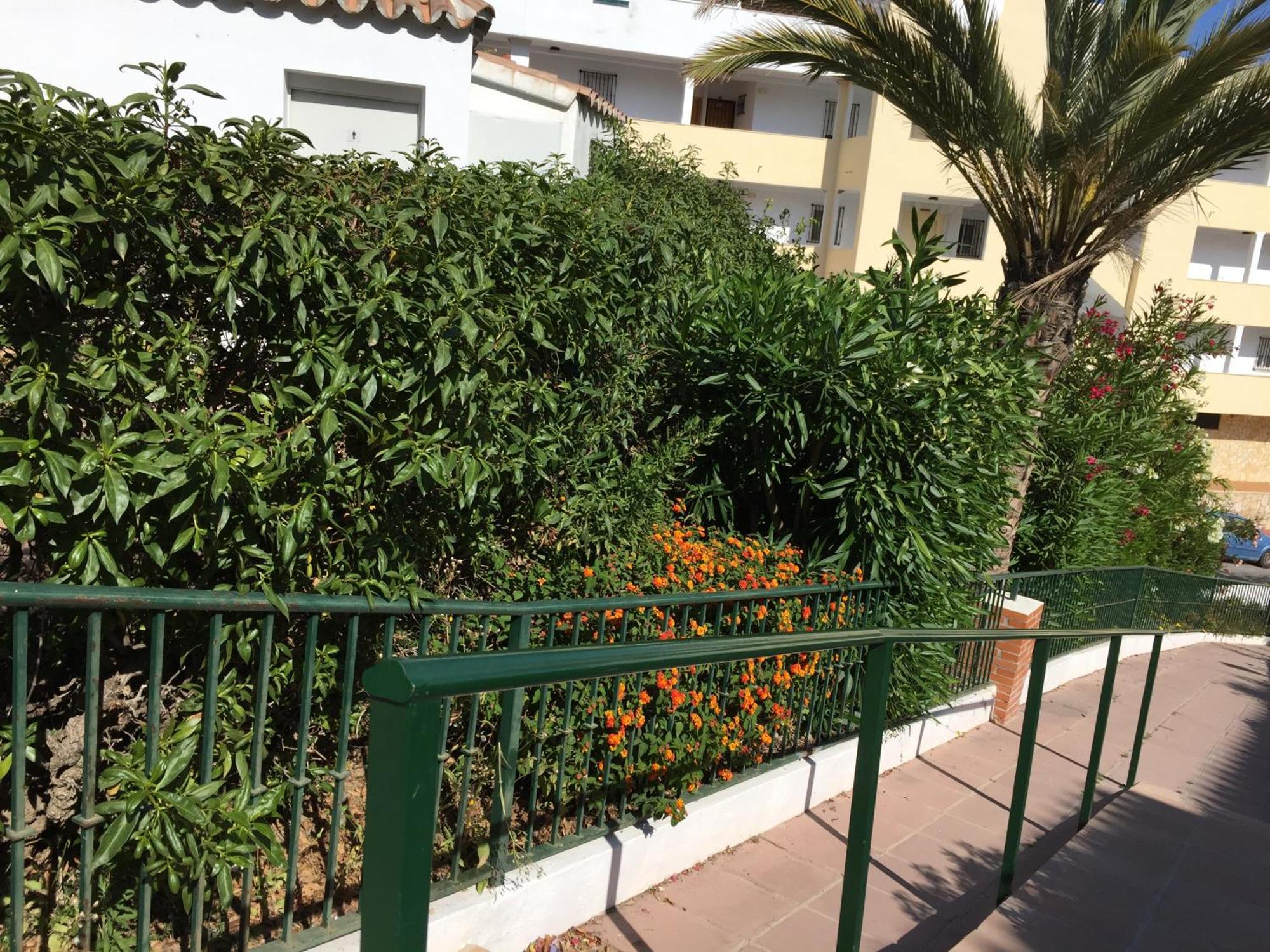 Stella Blanca 24b * Fuengirola