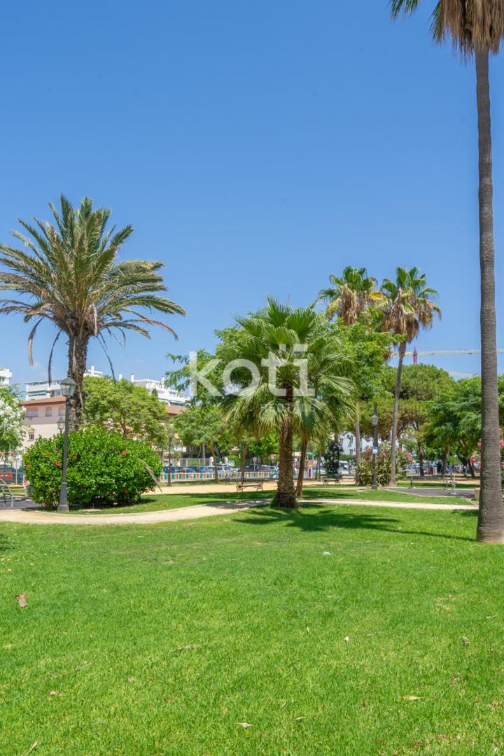 Apartment Koti - Dona Sofia