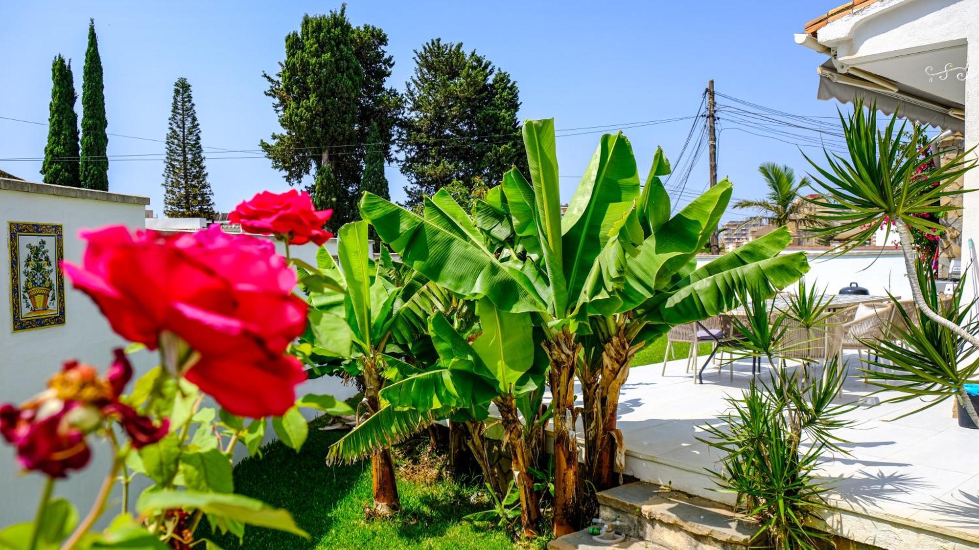 Fresa Villa