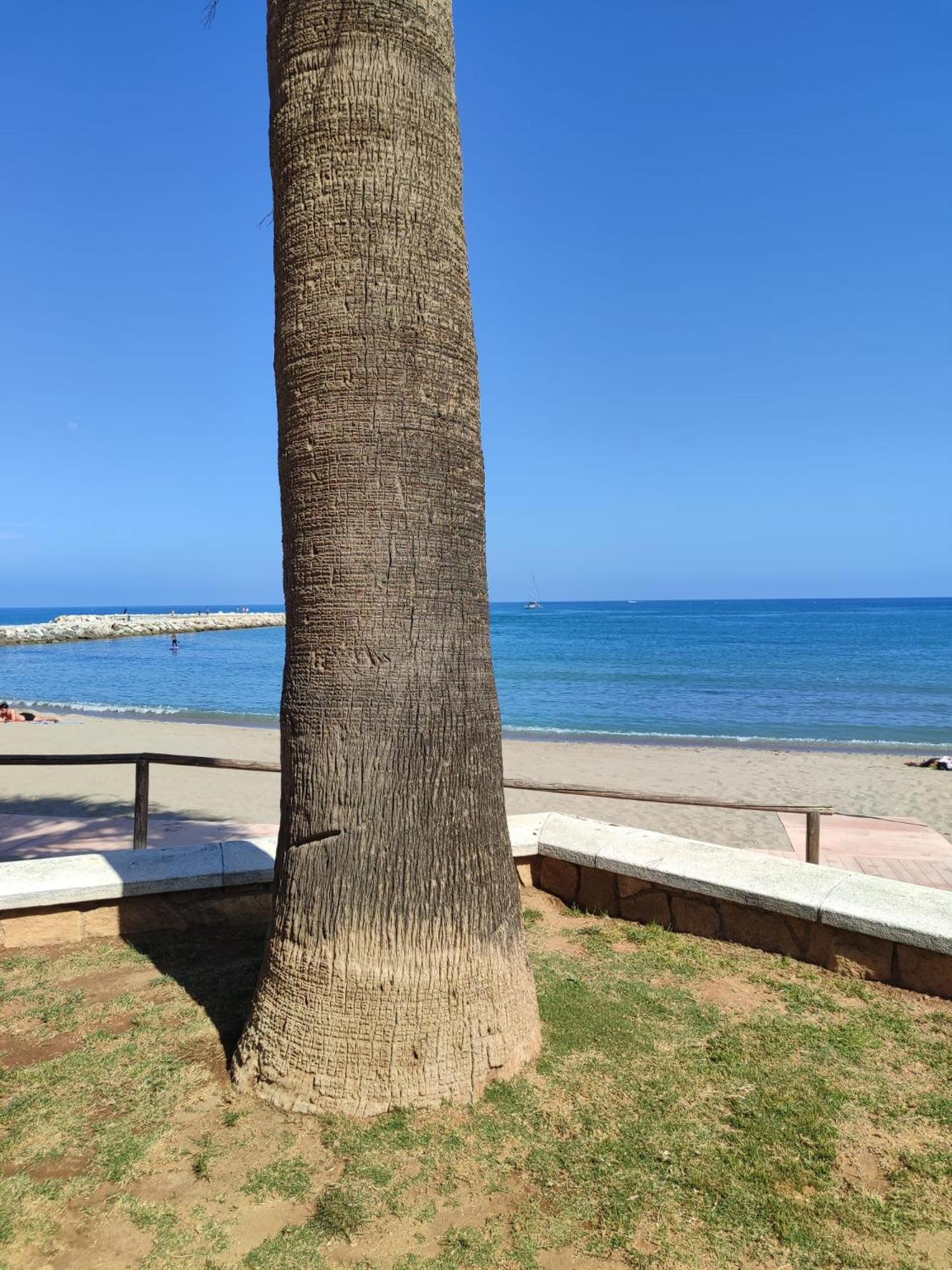 Reyes * Fuengirola