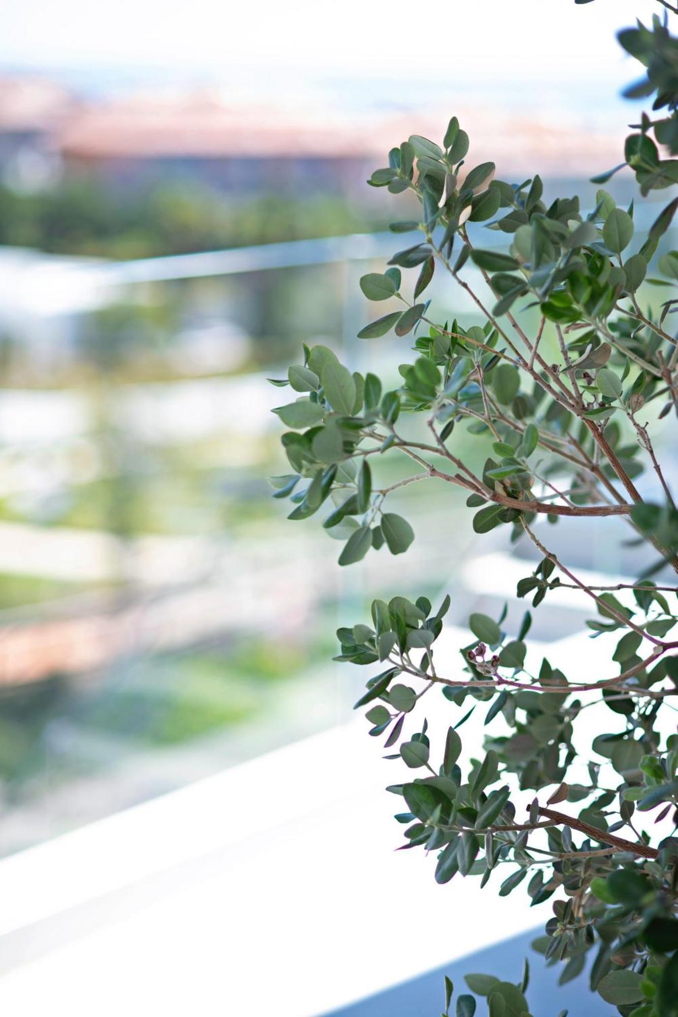 Apartamento Mara's Higueron West - Like A House - 246 Square Meters Of Private Terrace & Garden - Morning And Evening Sun *