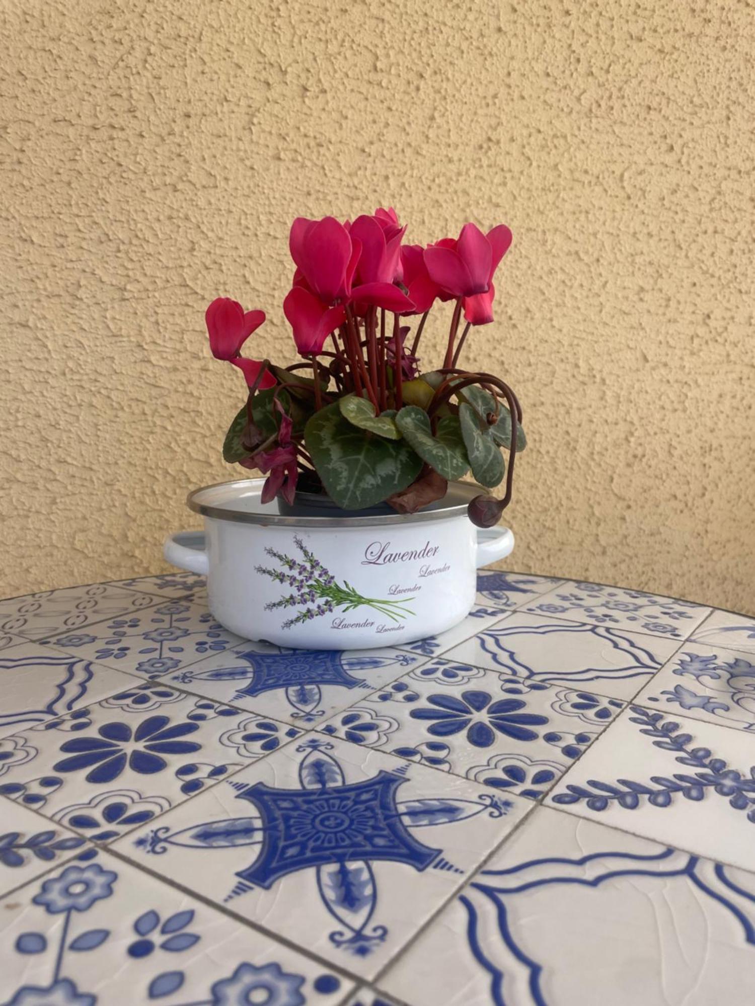 Cozy One Bedroom, Big Balcony, Pool Area - Yamasol