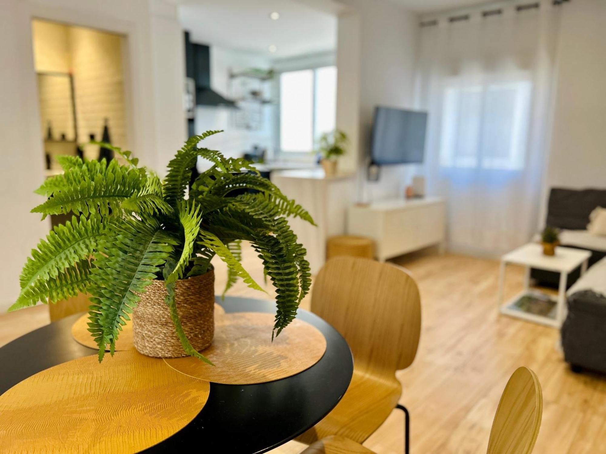 Apartment Ecochic In Center