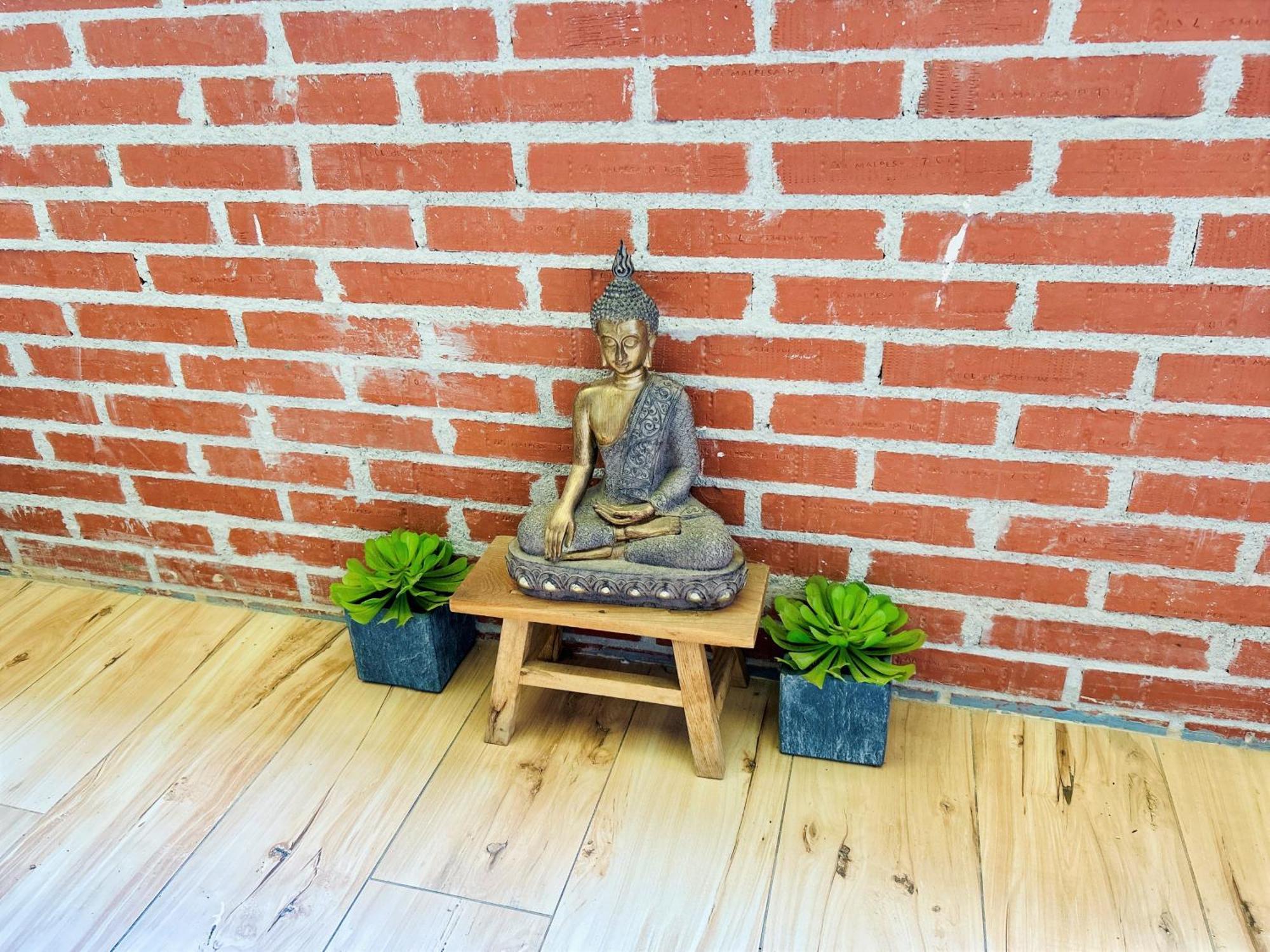 Apartment Ecochic In Center *