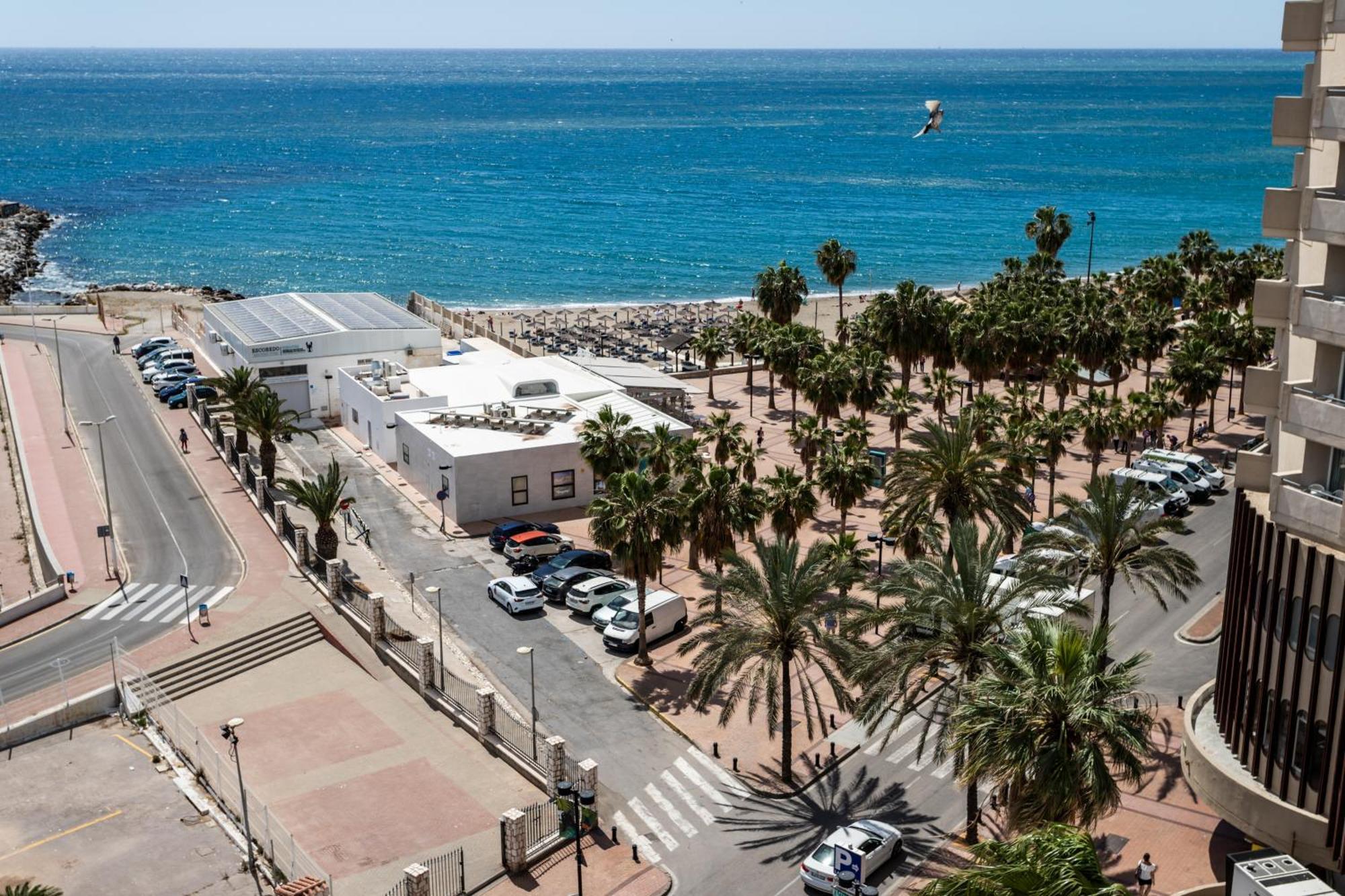 Sur Perla 7