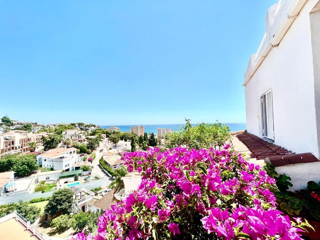 Apartment Playa Torreblanca *