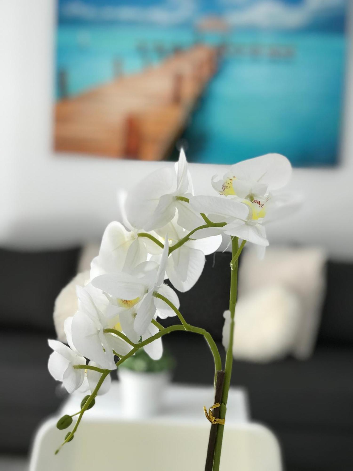 Appartement Side Heaven
