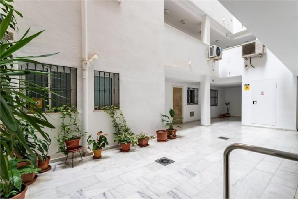 Centrico A 250 Metros De La Playa & Parking *