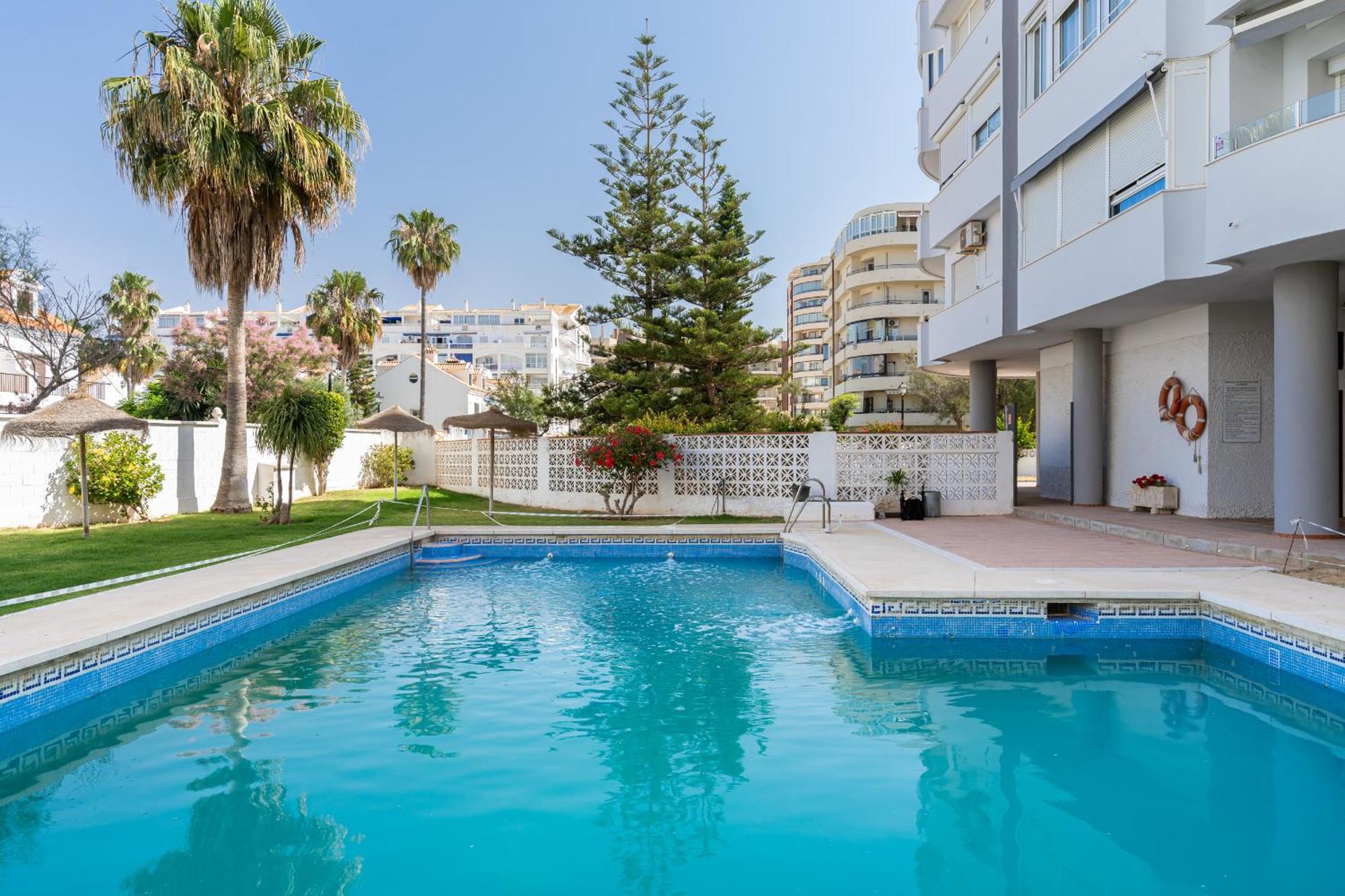 Blonzu Dominicana * Fuengirola