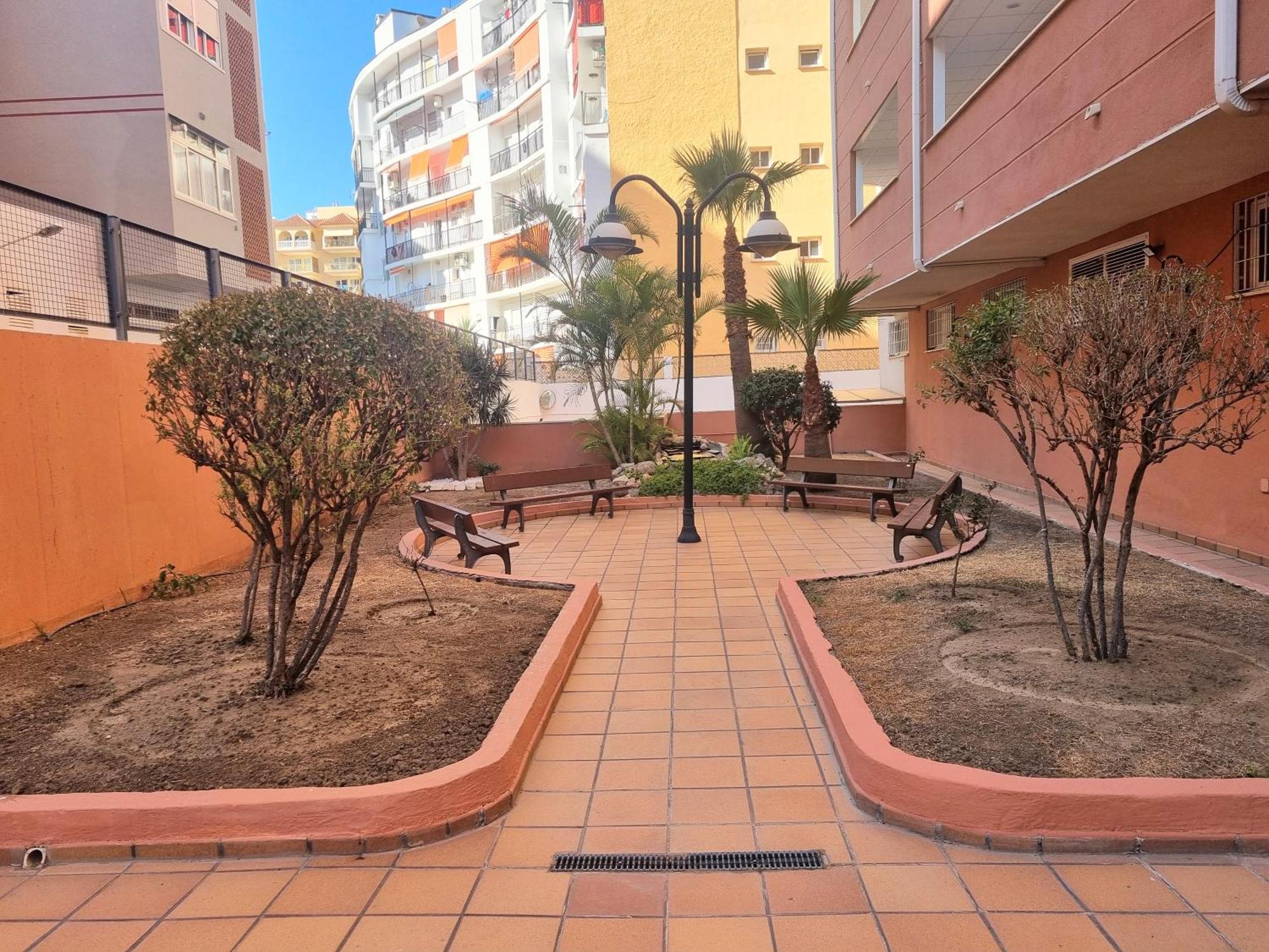 Olivos And Pool * Fuengirola