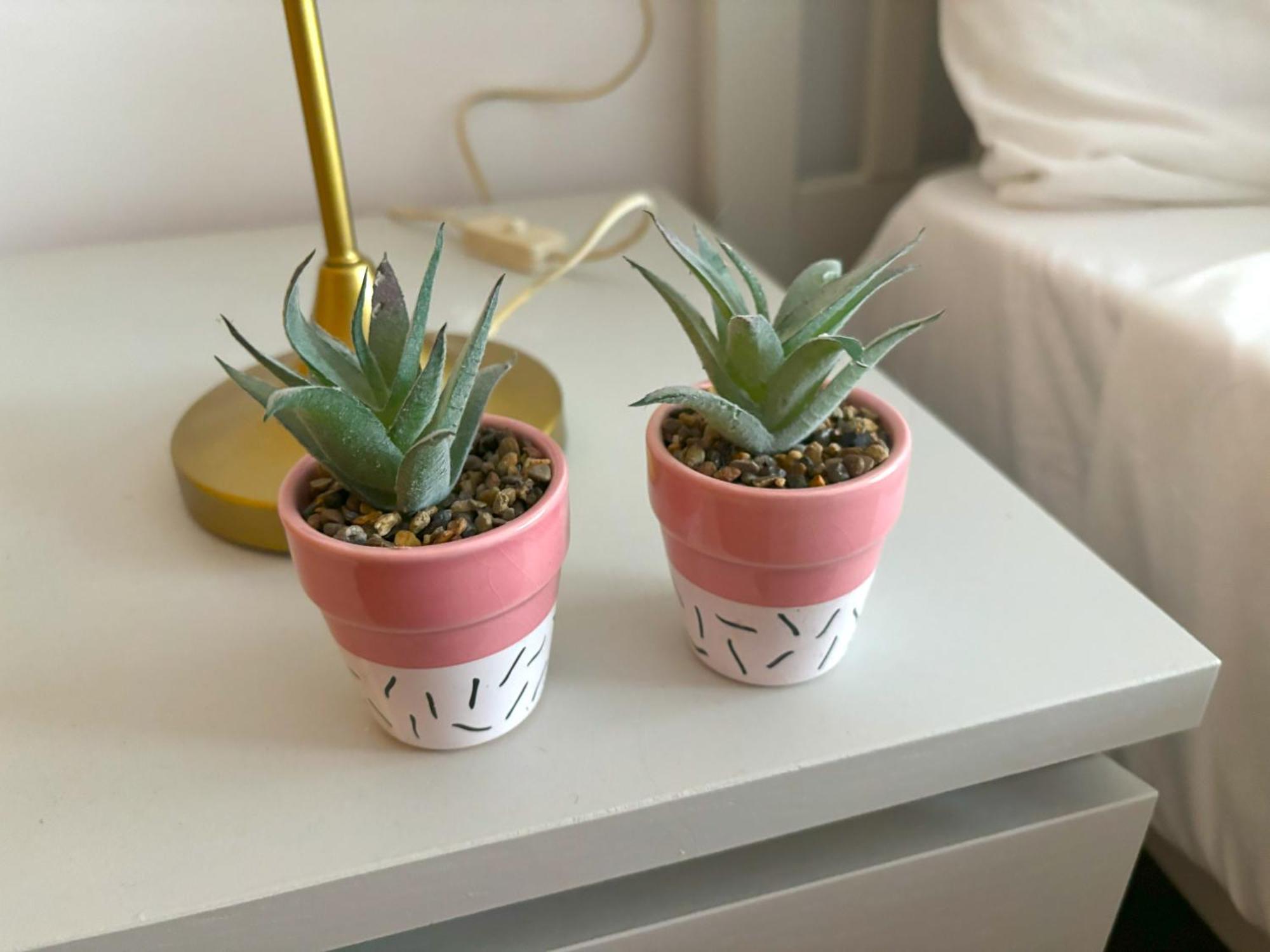 Appartement Evans Realty Bf Parking & Piscina & Terraza *