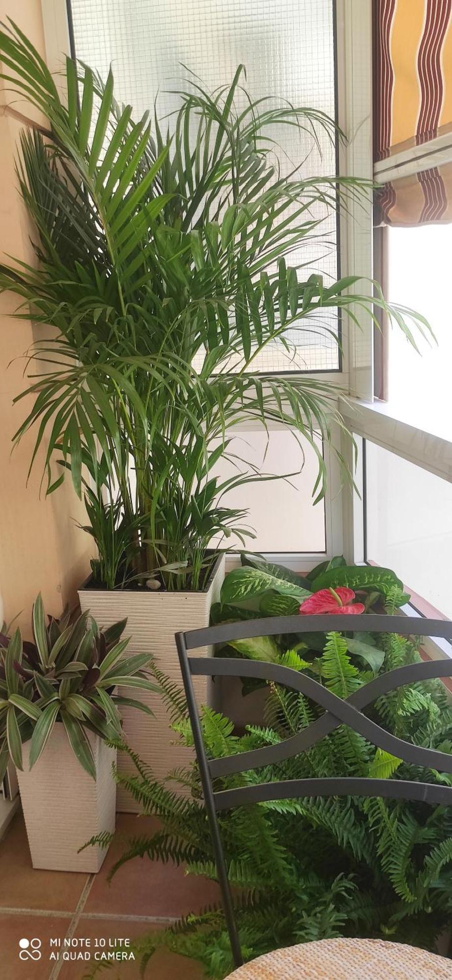 Duplex Centro 3 Apartamento *