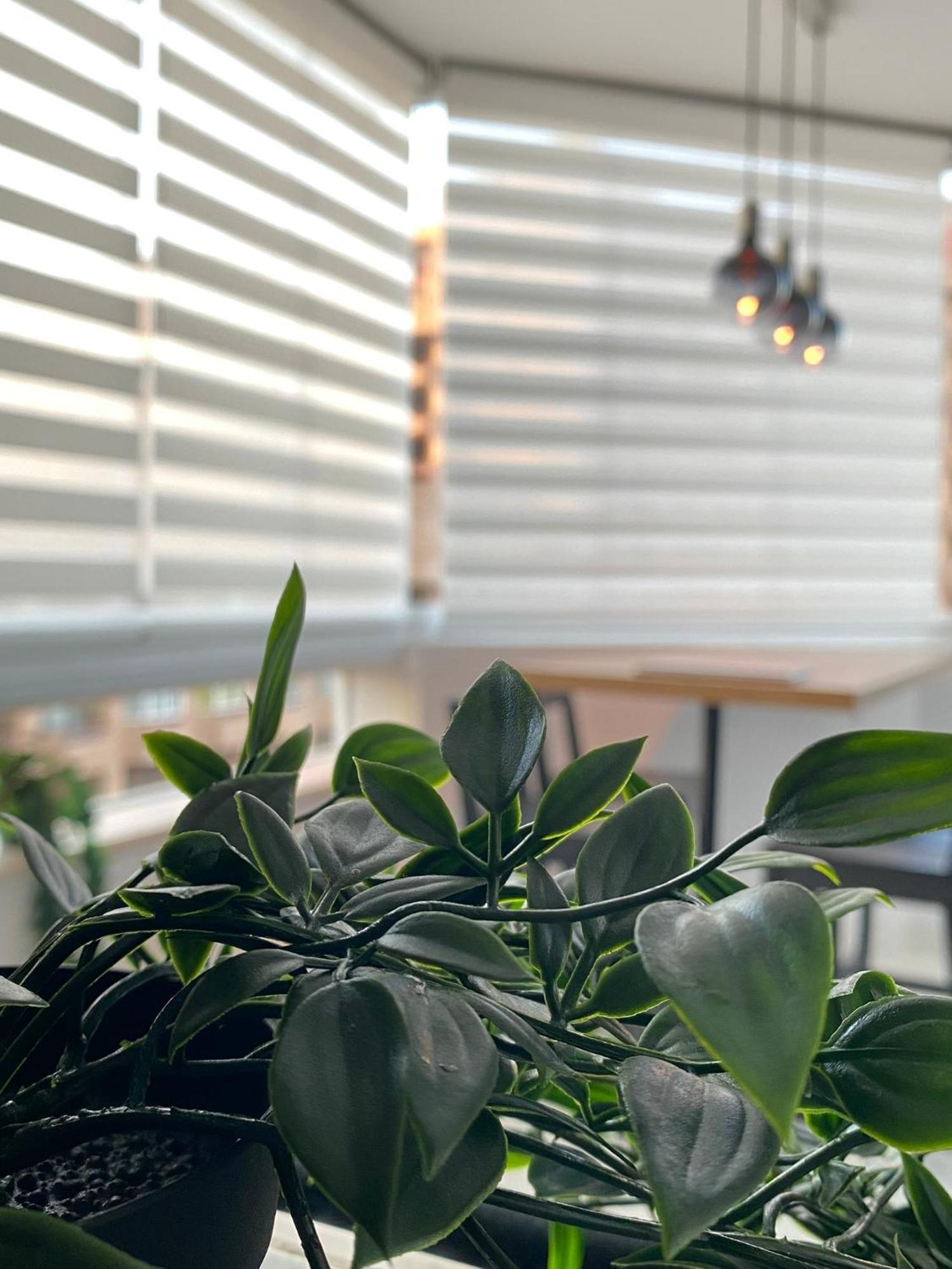 Huoneisto Modern And Bright By Marina *
