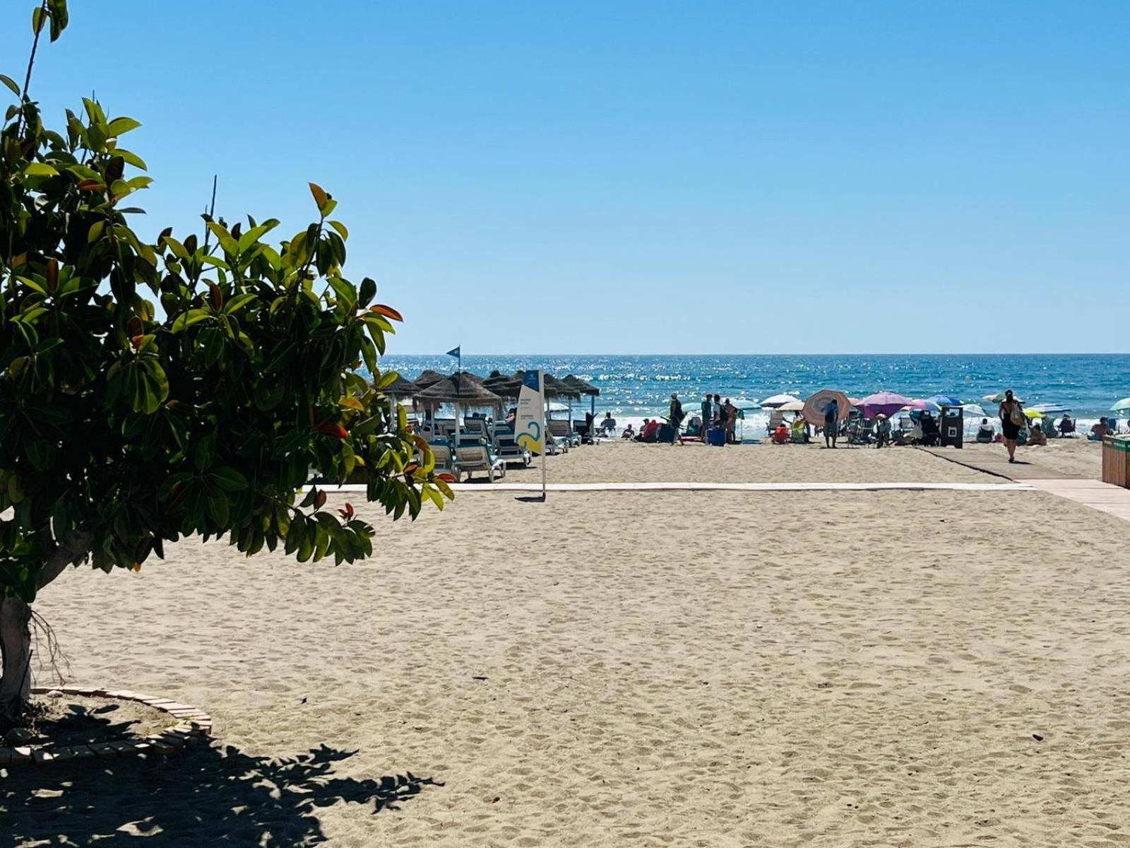 Palm Fuengirola
