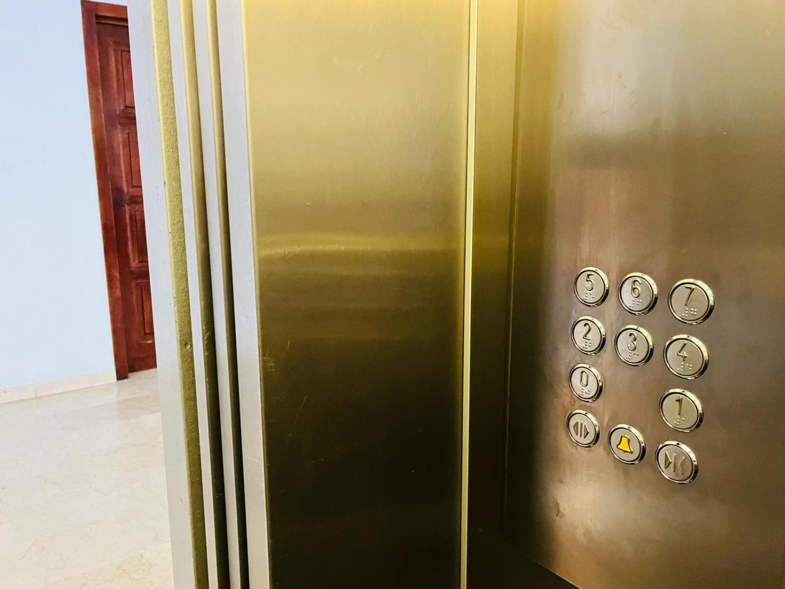 Palm Apartment