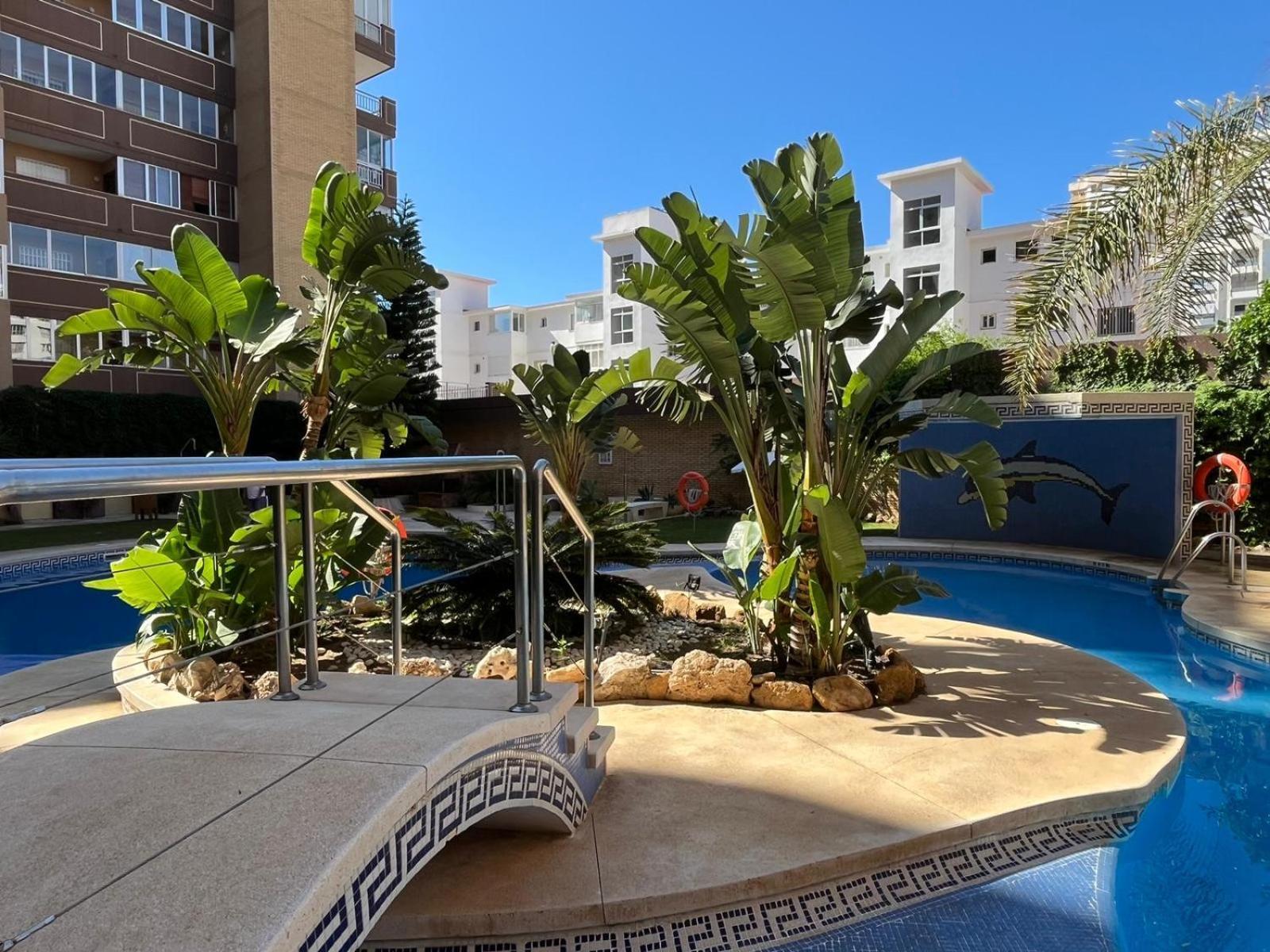 Apartment Palm