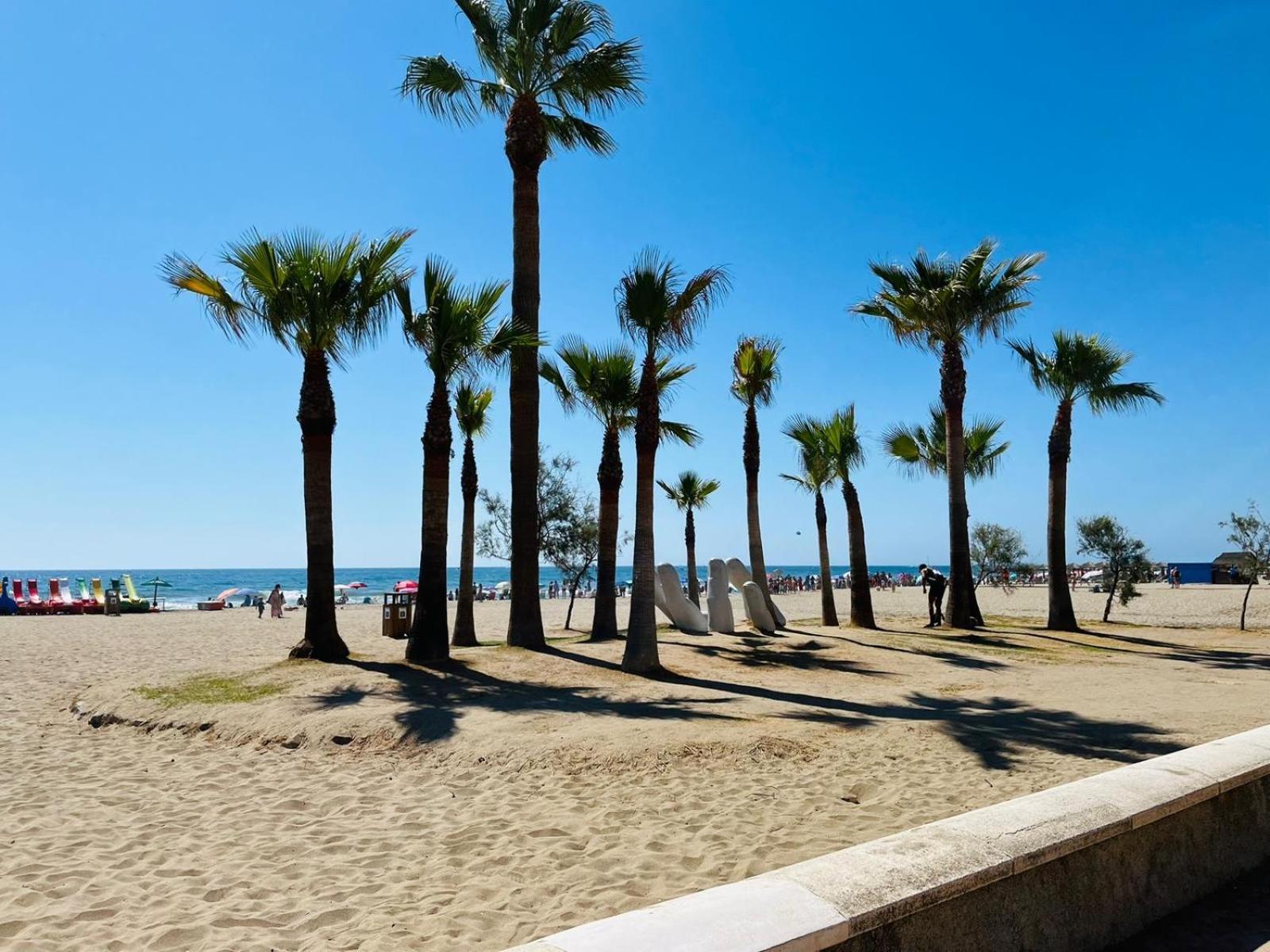 Palm Apartment