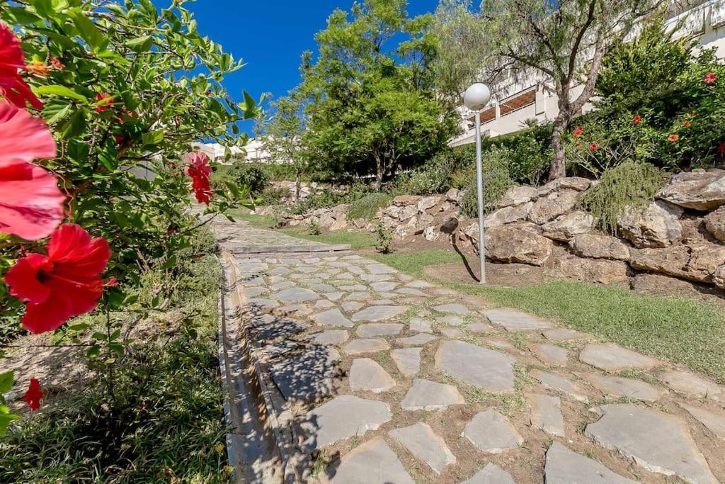 Apartamento 27-cozy Apartment, Spacious Terrace In