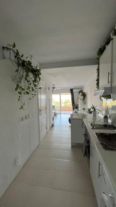 Appartement Marina Del Sol 121
