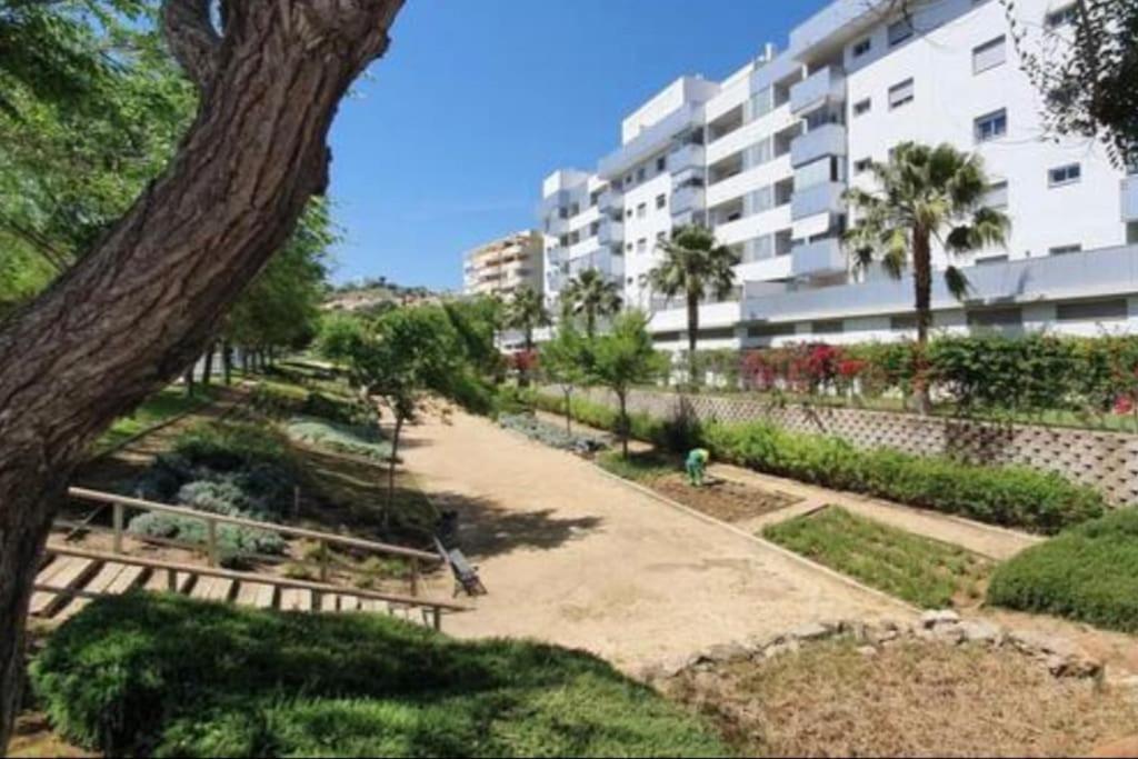 Con Piscina, Cerca Del Mar Y De 1 Centro Comercial *