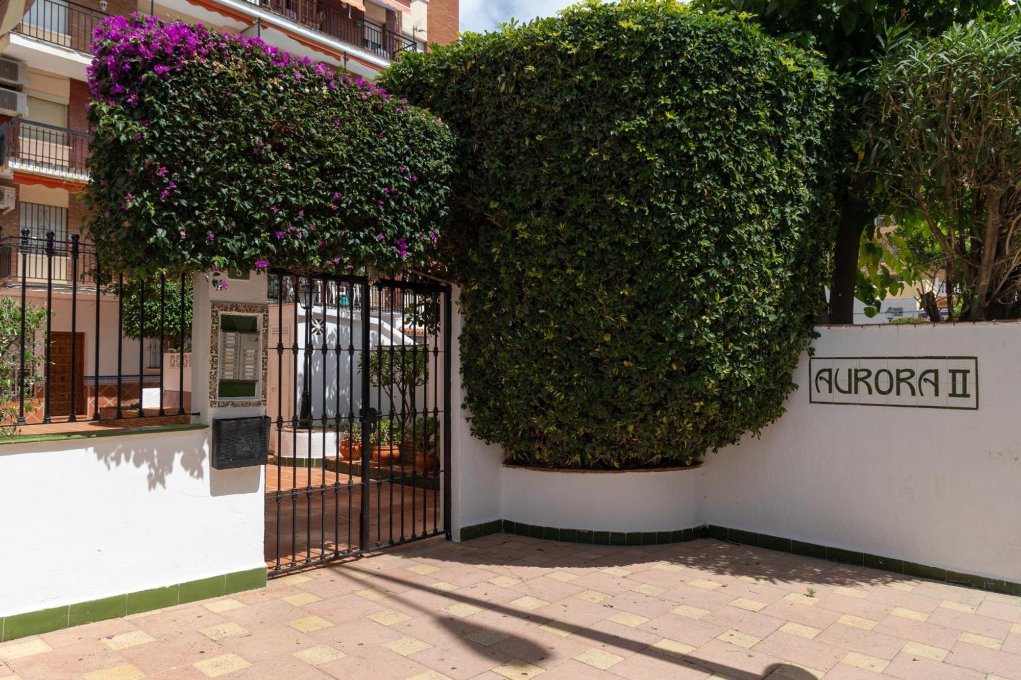 Isidoro * Fuengirola