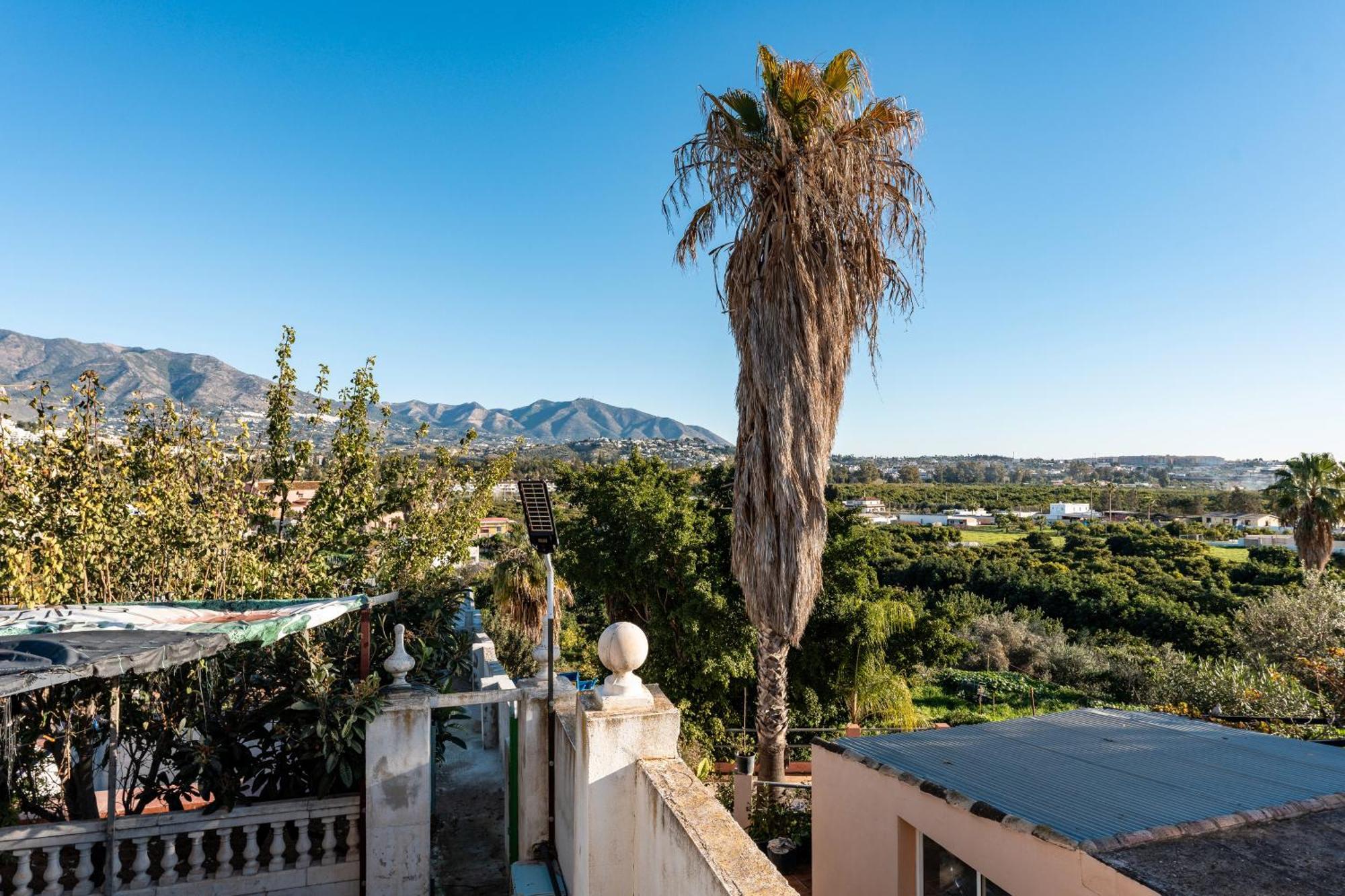 Palm House Holiday home Fuengirola