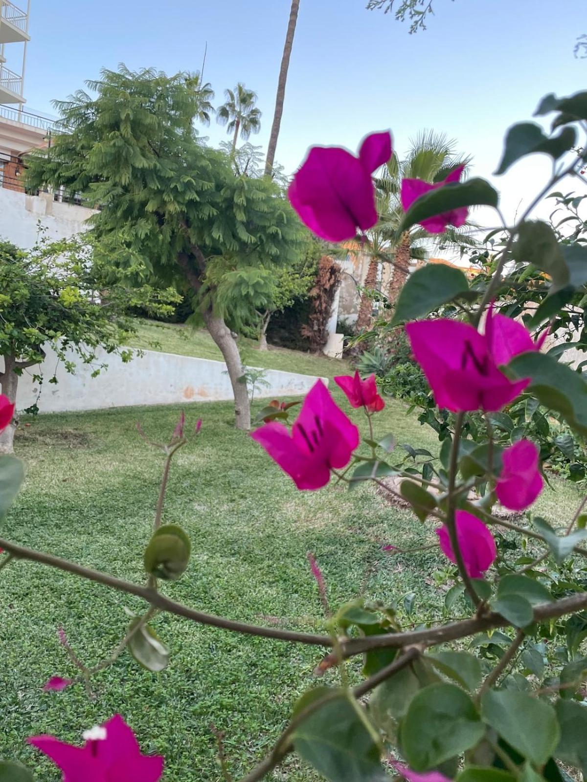 Sun-drenched, Sea-view With Giant Patio! Apartment Fuengirola