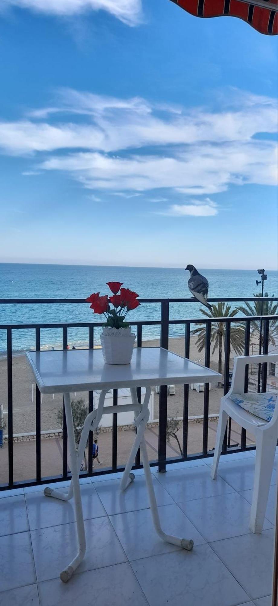 Center Beachfront Yate Fuengirola