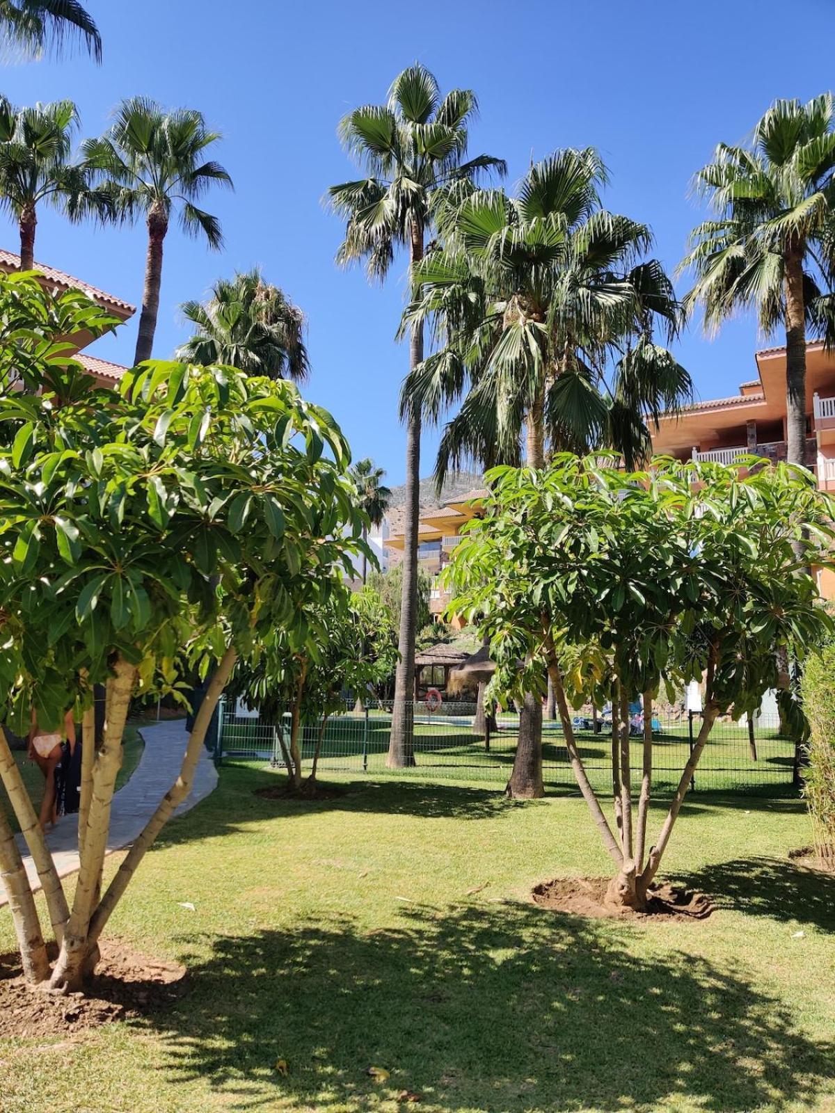 Apartment Bright And Lovely - Fuengirola