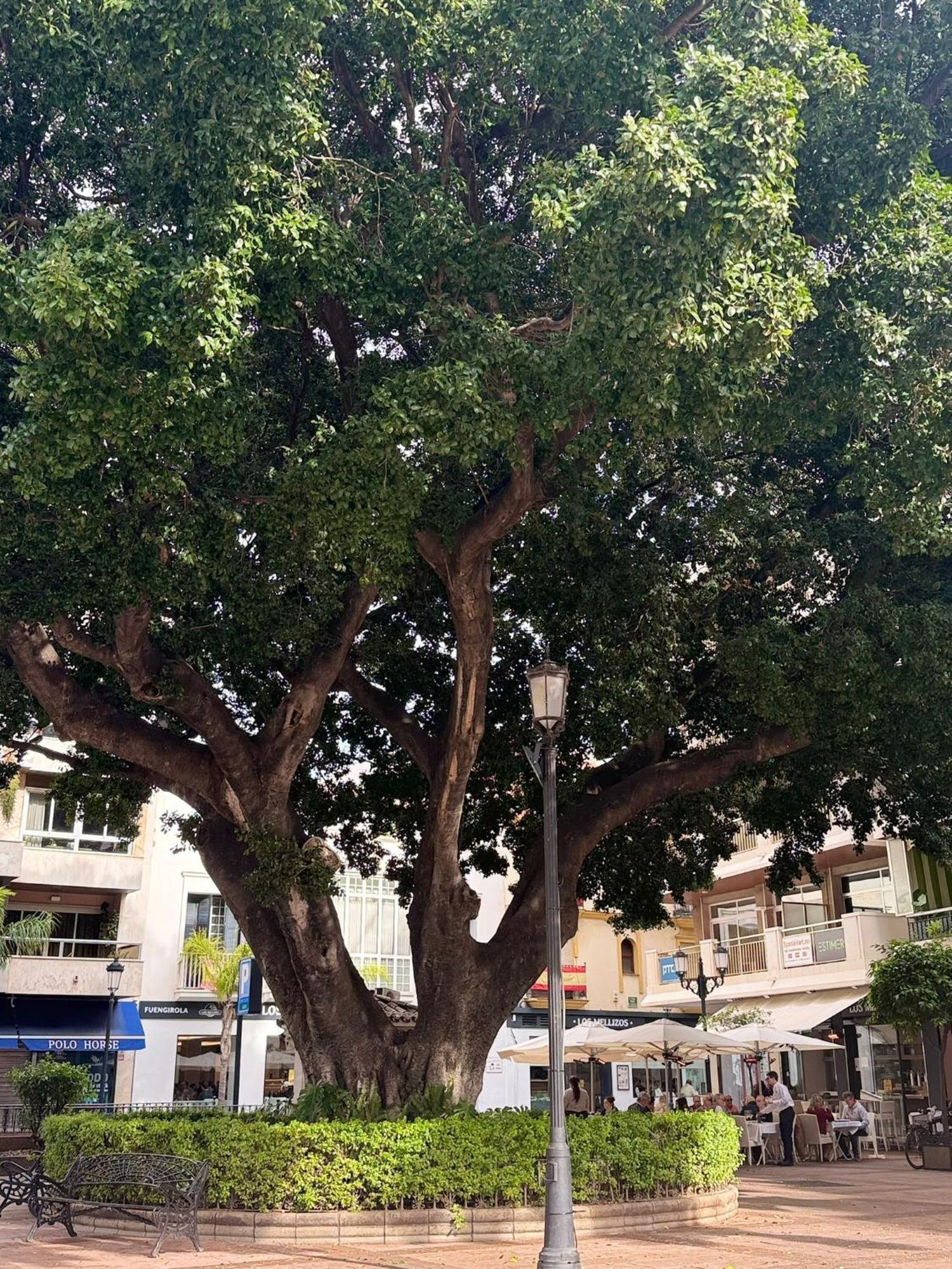 Centrobeach 250m From Apartment Fuengirola