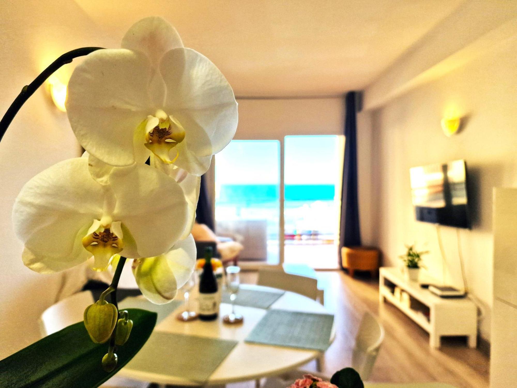 Aa Guest - Rubi Front Sea Views Eco Apartment Apartment