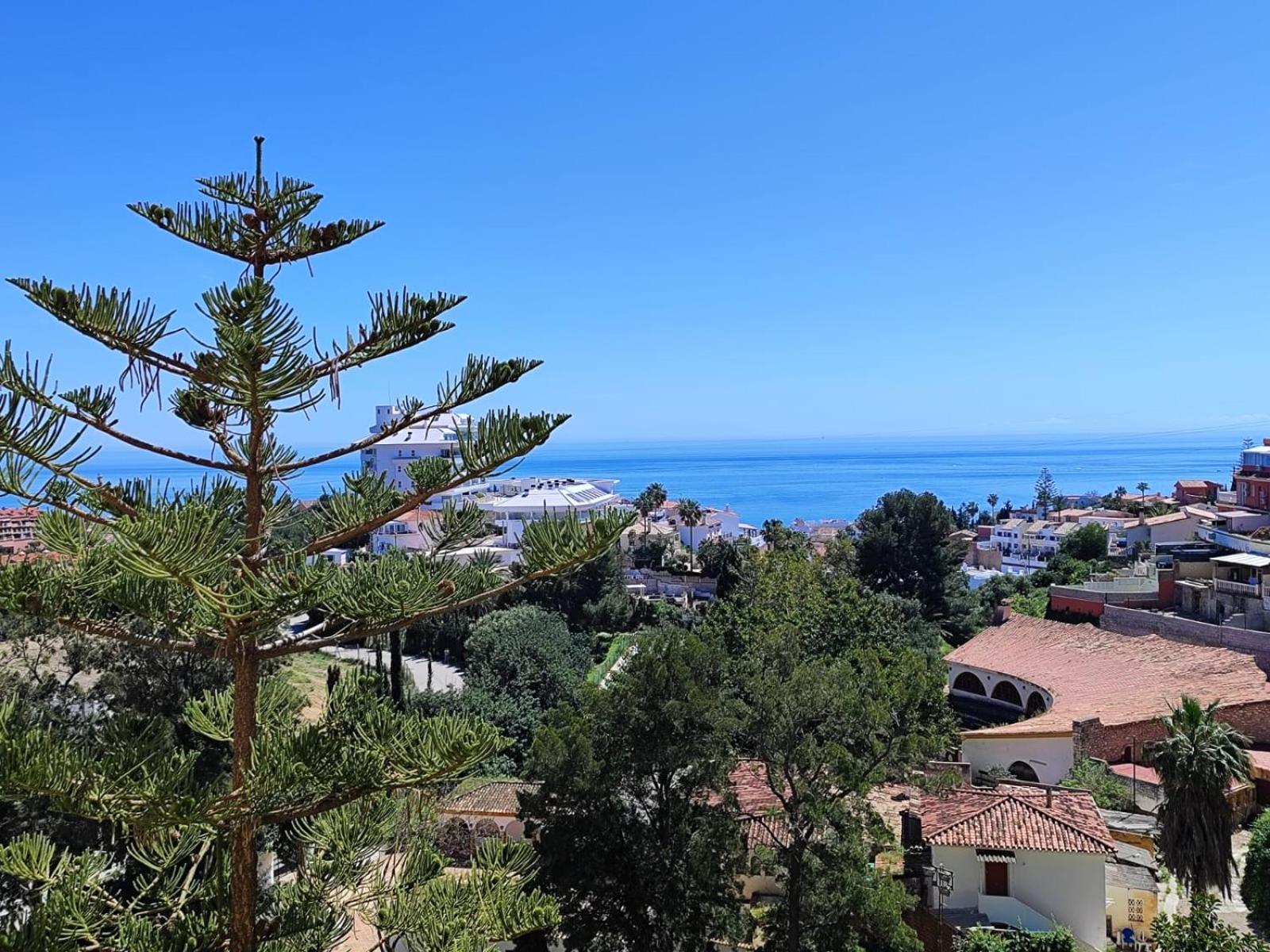 Alessandra 2 Sea View * Fuengirola