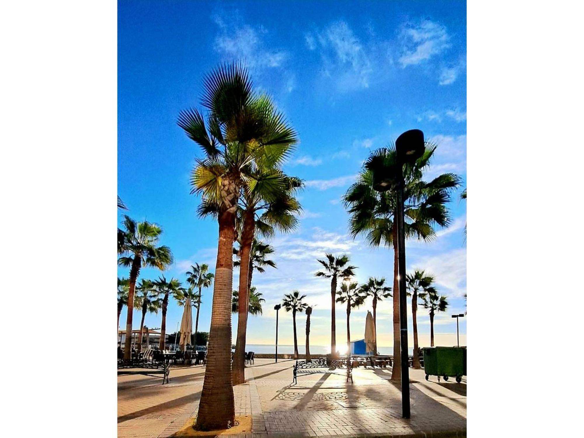 Sunny Pearl * Fuengirola