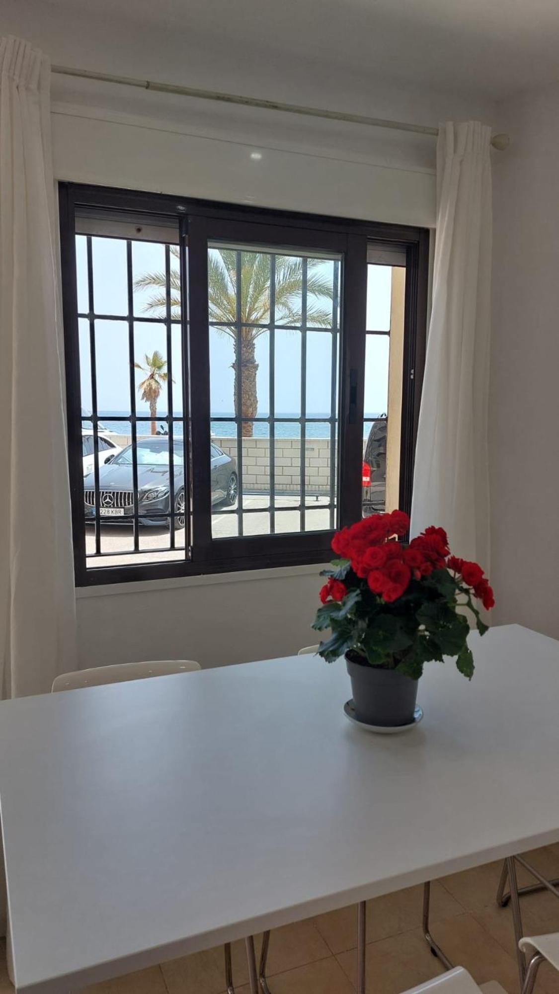 Promosol Frente Al Mar Apartamento