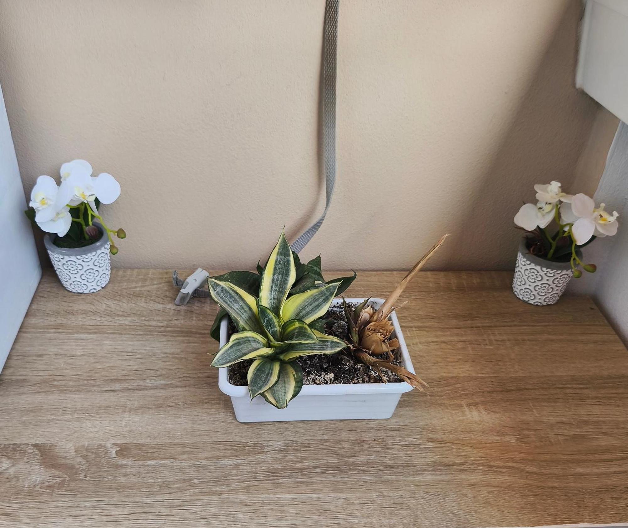 Apartamento Nuevo Con Parking Y Piscina Gratis *