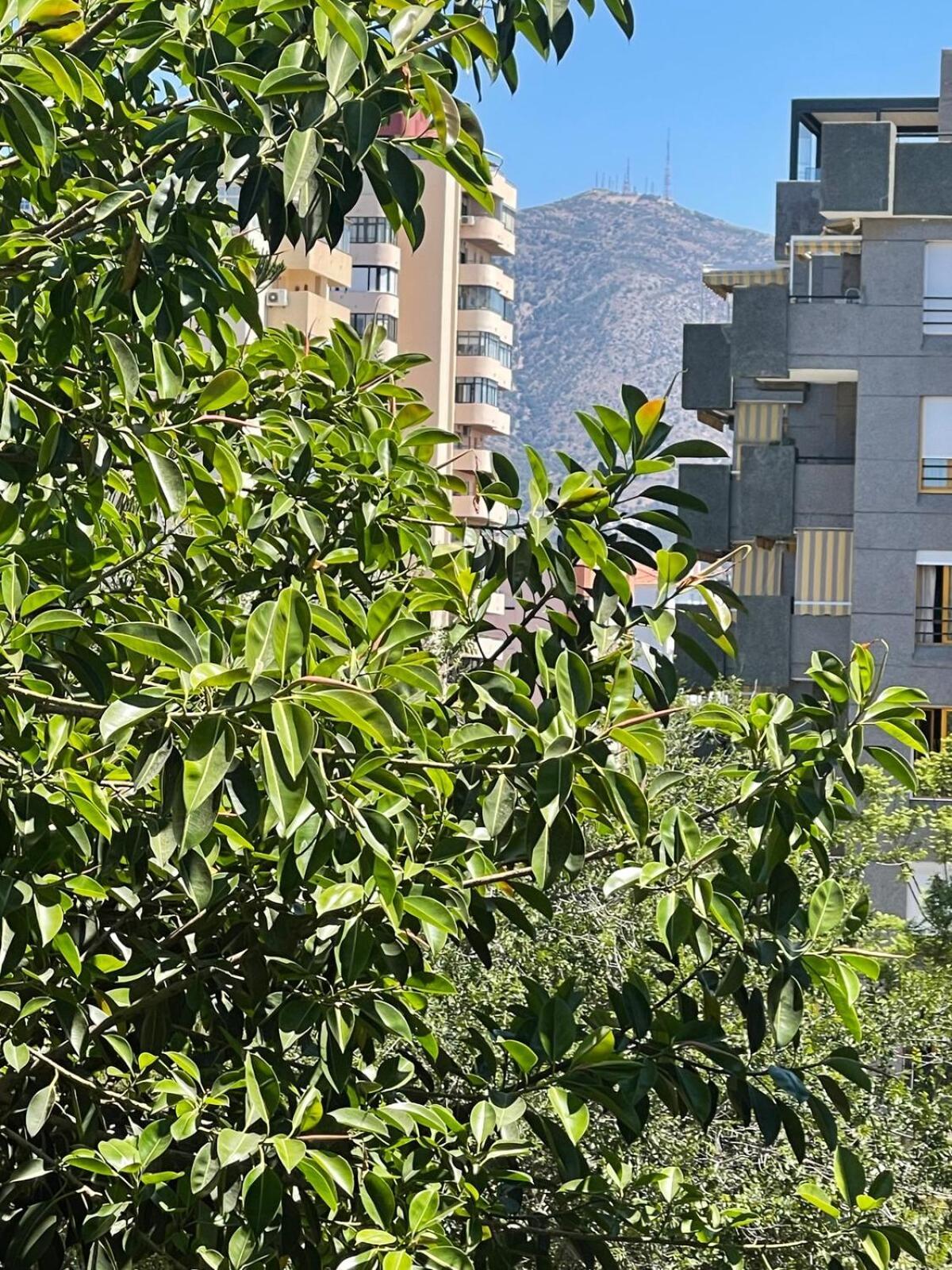 Beautiful 3 Bedrooms, 2 Baths, Balcony, Fuengirola
