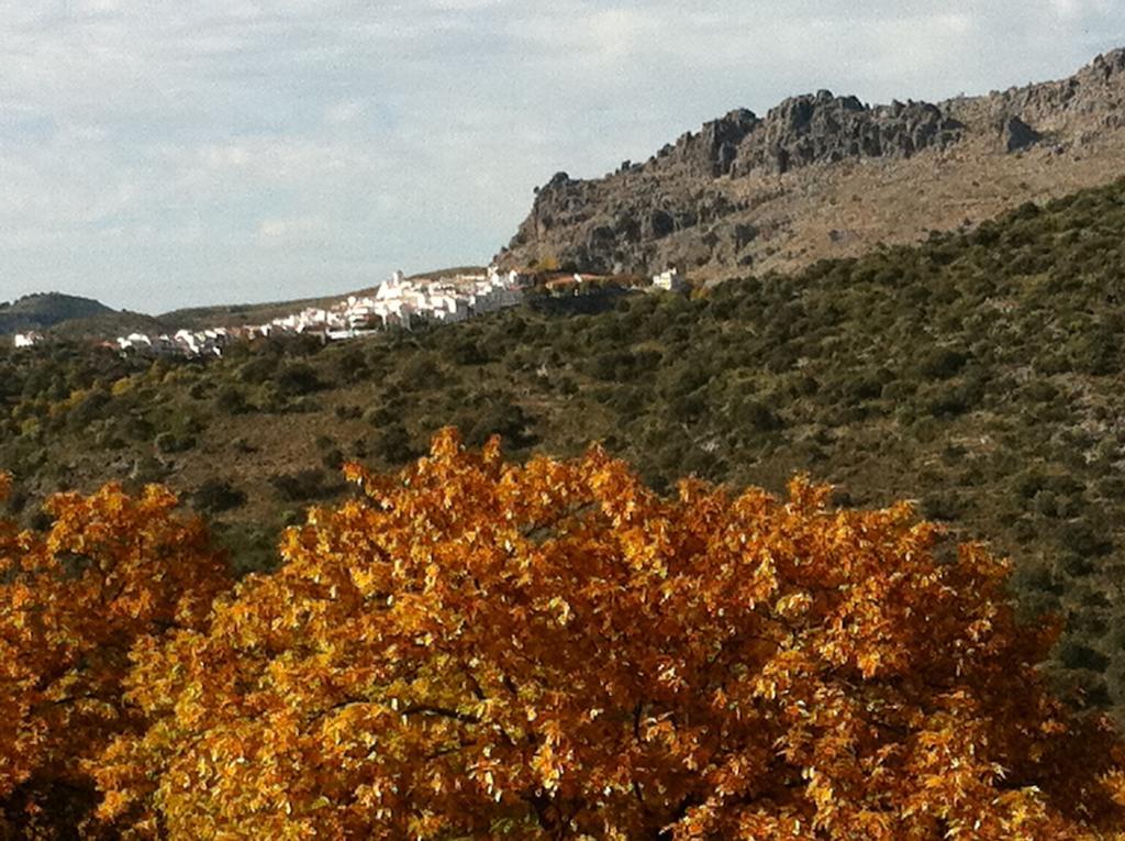 Country house Casas De Parauta *