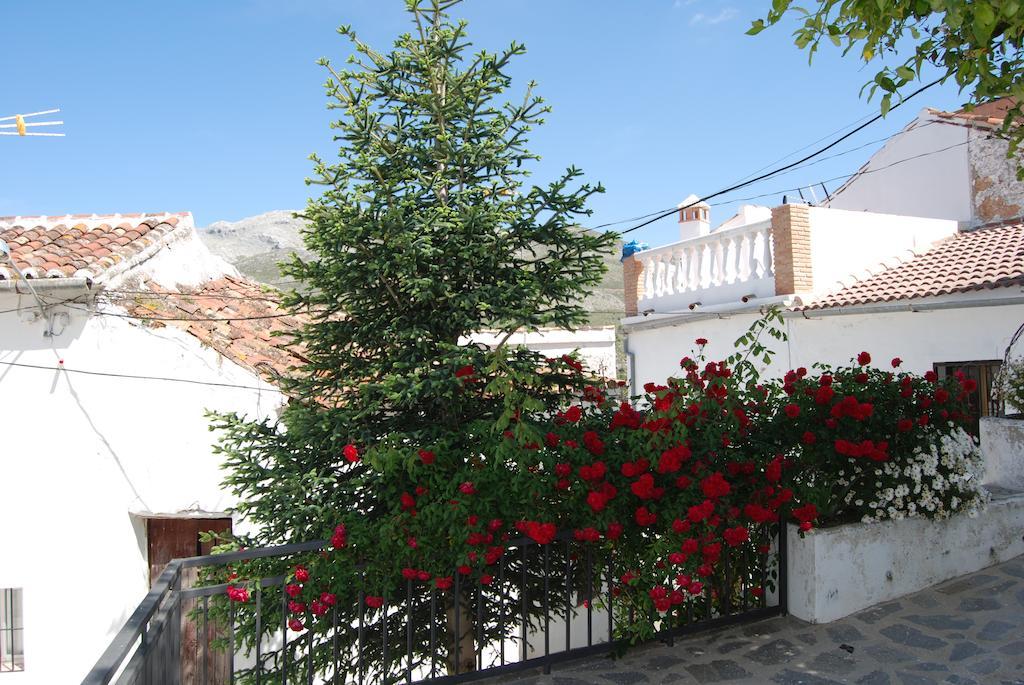 Casas De Parauta