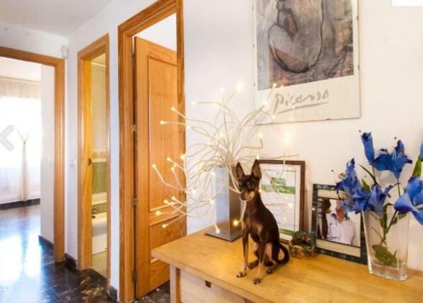 Huoneisto Penthouse With Private Roof Terrace And Jacuzzi Fuengirola