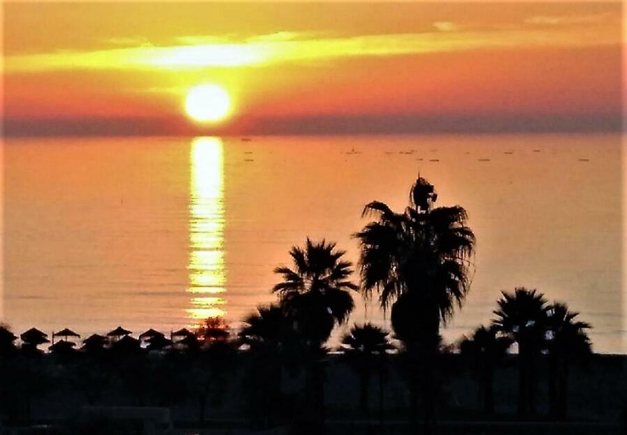 En La Costa Del Sol , Fuengirola