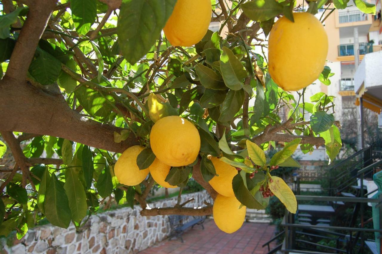 El Limonero Fuengirola