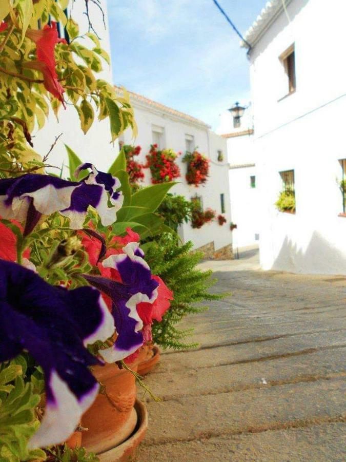 Valleverde Apartment Fuengirola