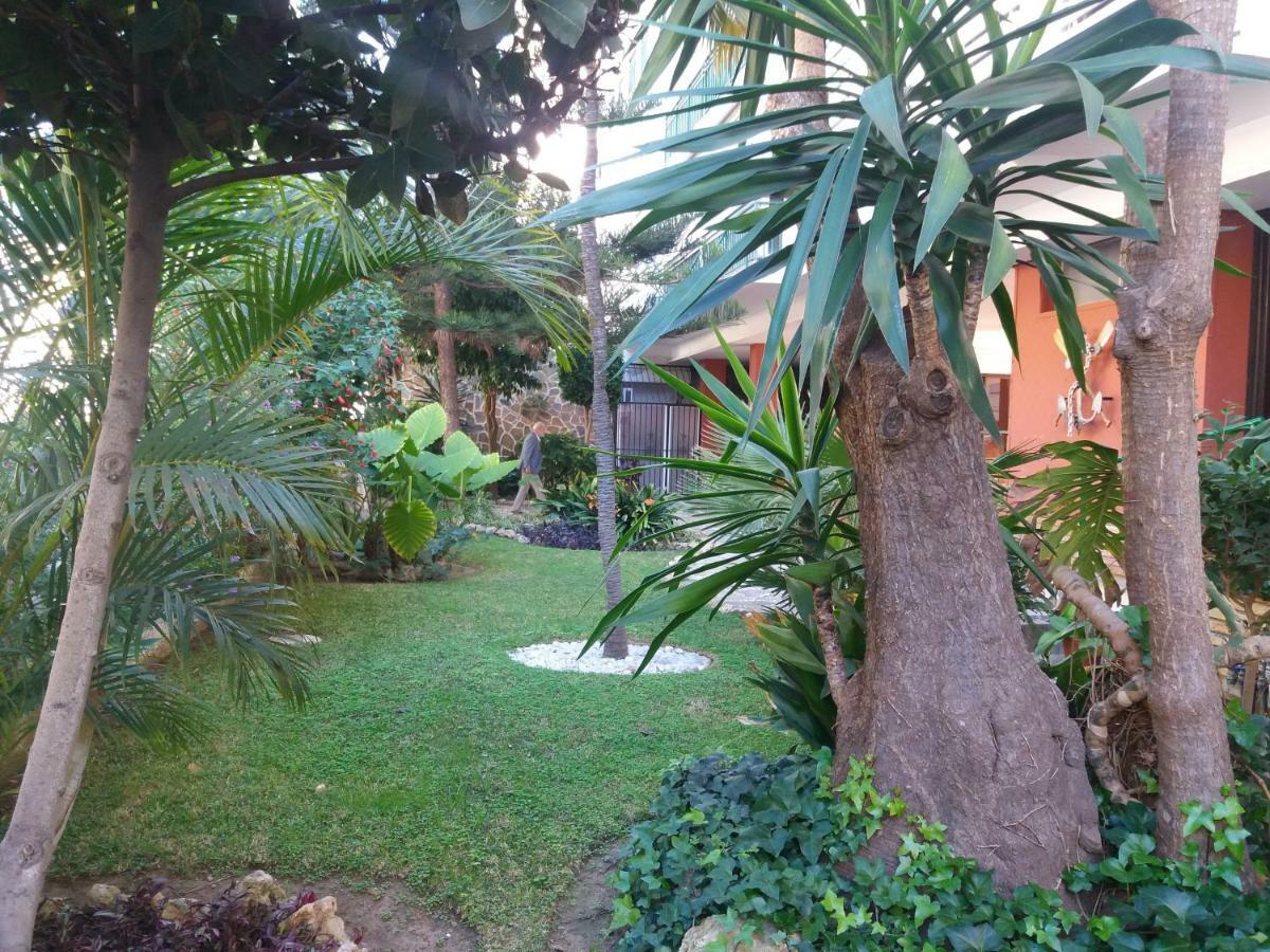 El Limonero Apartment *