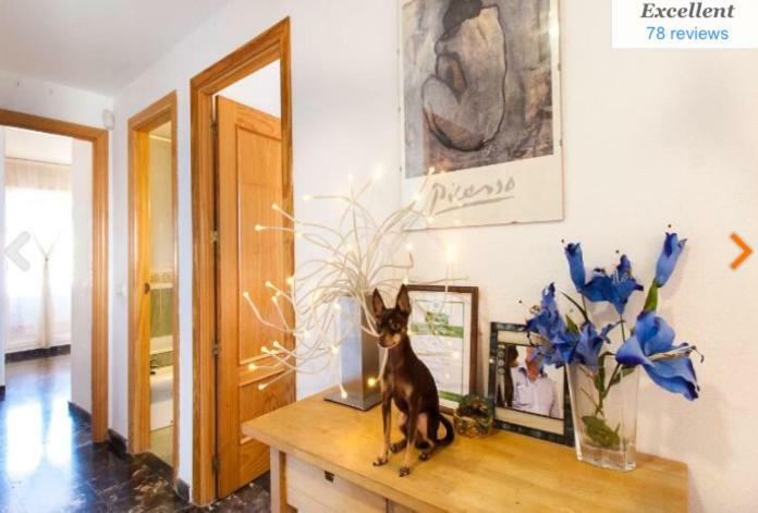 Huoneisto Penthouse With Private Roof Terrace And Jacuzzi *