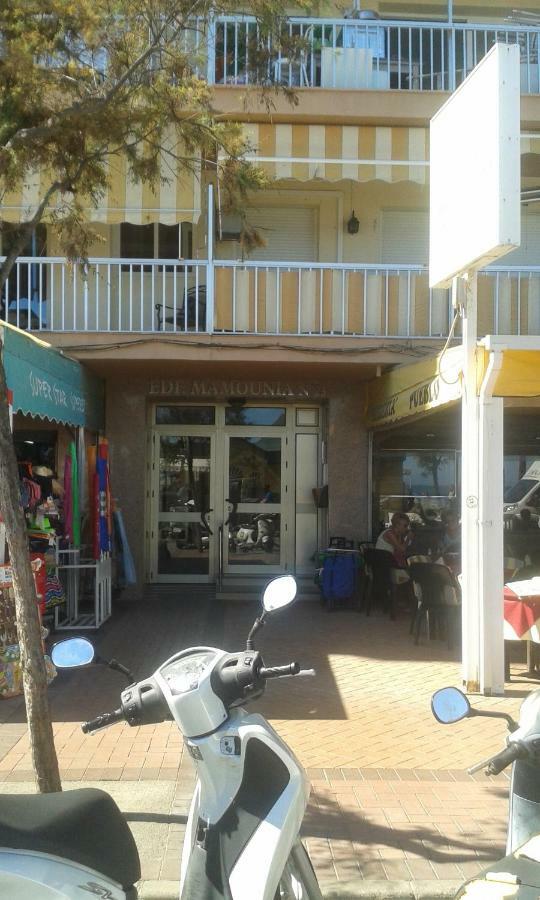 Mamunia * Fuengirola