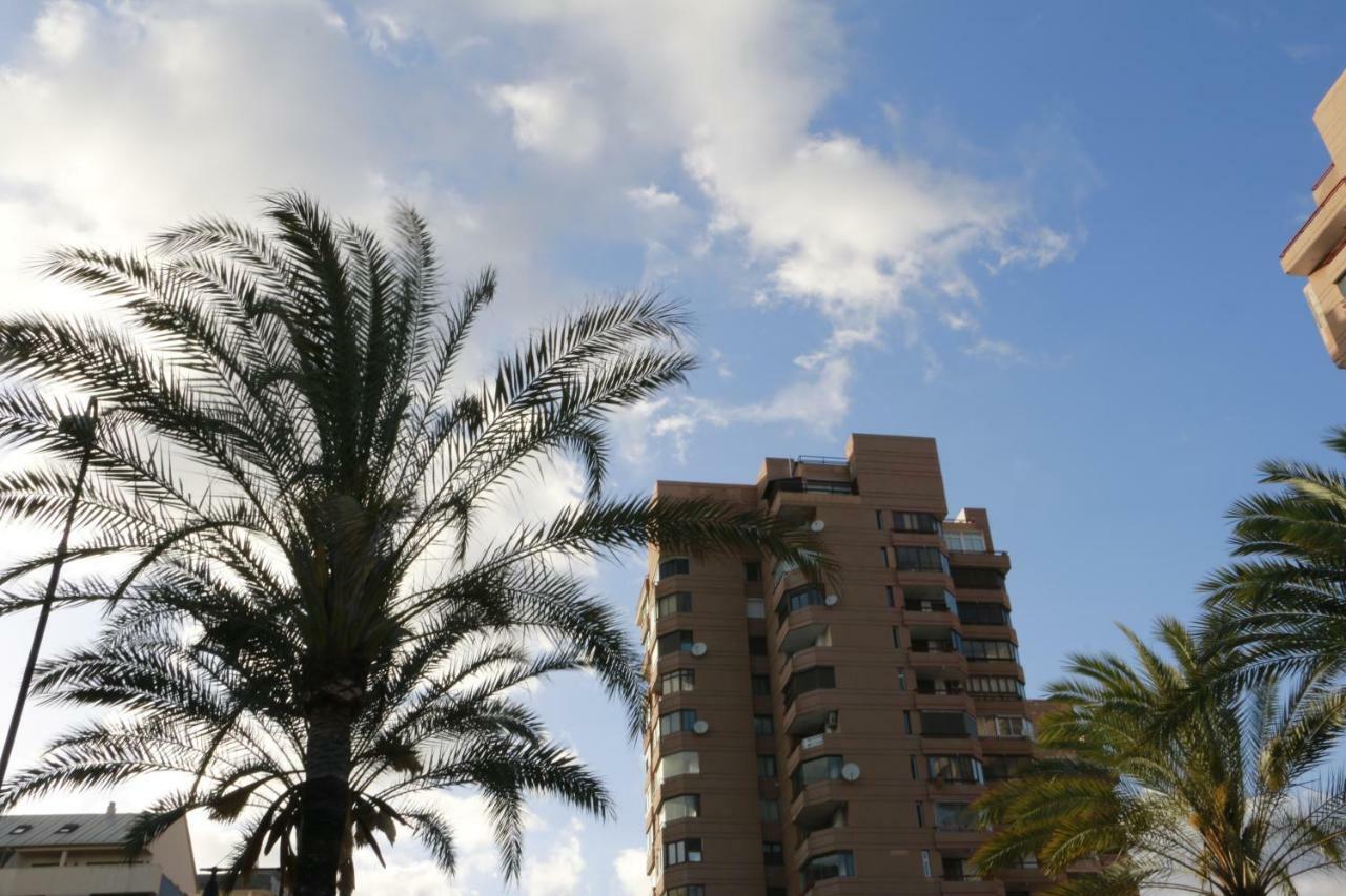 Sur Palmeras 2 Fuengirola