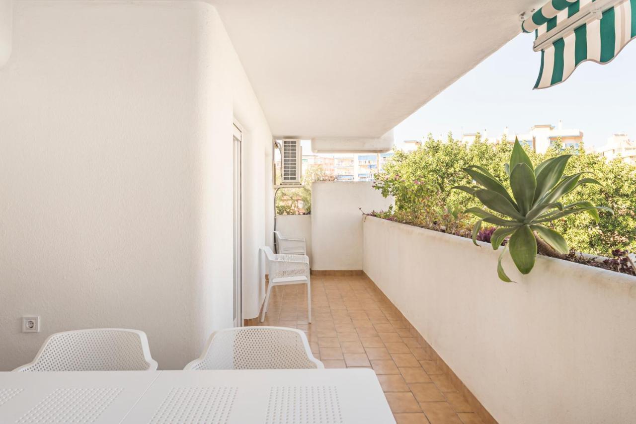 Apartment Beautiful With Terrace Near The