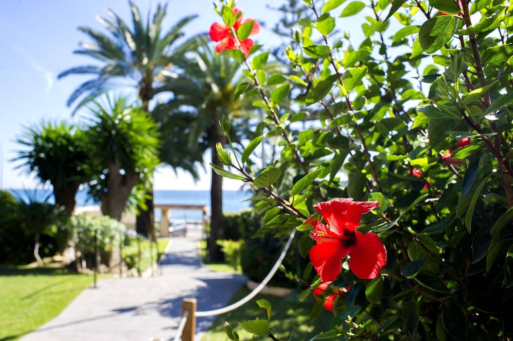 Hotelli Globales Gardenia Fuengirola