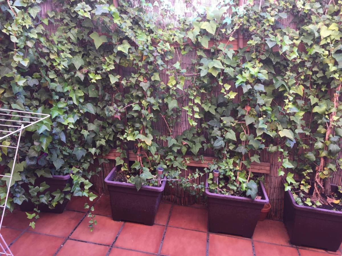 Bonito Piso Centro De Boliches Appartement *