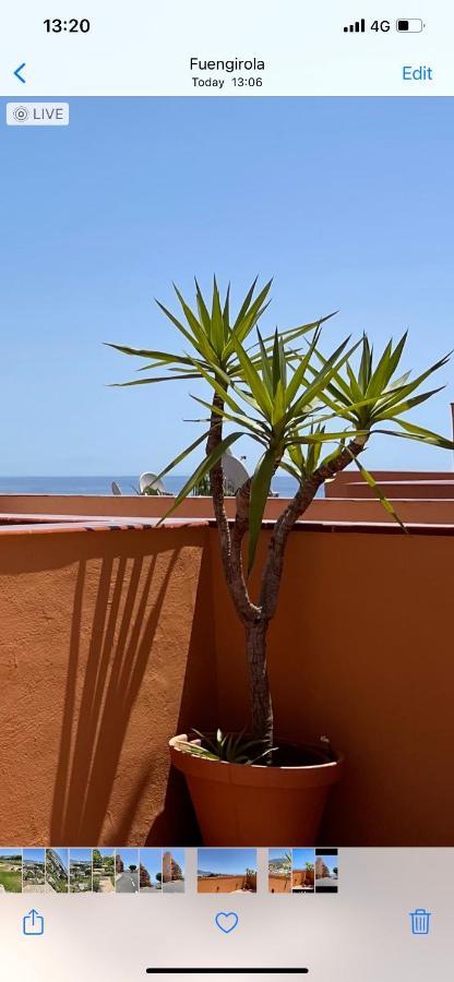 Apartment Penthouse Fuengirola